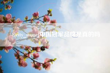 江门中国冠军品牌是真的吗