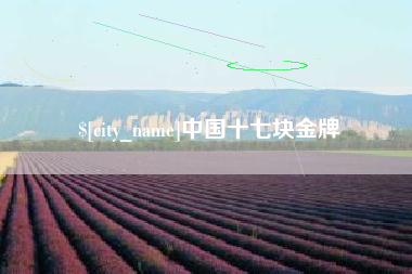 江门中国十七块金牌