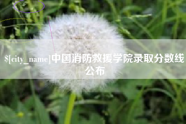 江门中国消防救援学院录取分数线公布