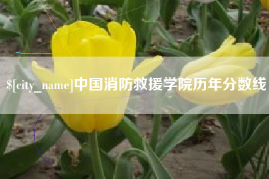 江门中国消防救援学院历年分数线