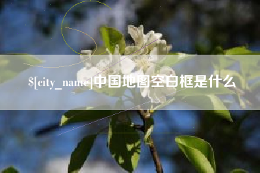 江门中国地图空白框是什么