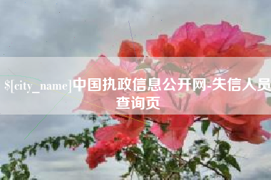 江门中国执政信息公开网-失信人员查询页