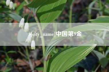 江门中国第9金