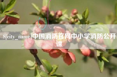 江门中国消防官网中小学消防公开课