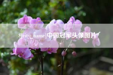江门中国冠军头像图片