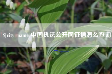 江门中国执法公开网征信怎么查询