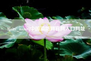 江门中国消防网官网入口网址