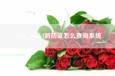 江门消防证怎么查询系统