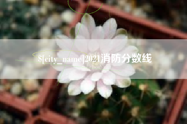江门2021消防分数线