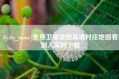 江门免费卫星地图高清村庄地图看到人实时下载