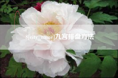 江门九宫排盘方法