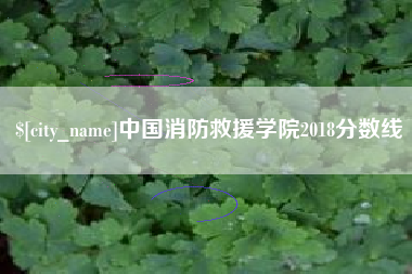 江门中国消防救援学院2018分数线