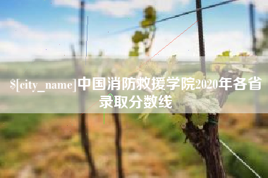 江门中国消防救援学院2020年各省录取分数线