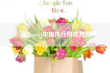 江门中国执行网信息官网