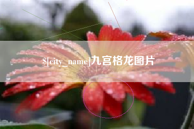 江门九宫格龙图片