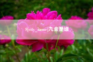 江门九金是谁
