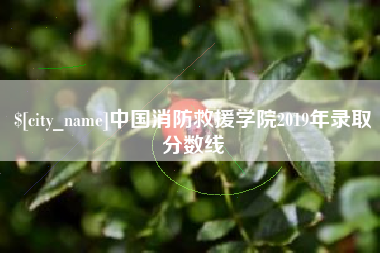 江门中国消防救援学院2019年录取分数线