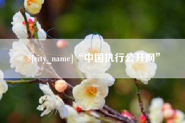 江门“中国执行公开网”