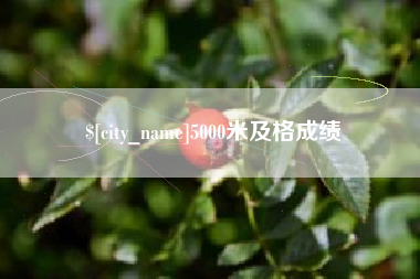 江门5000米及格成绩