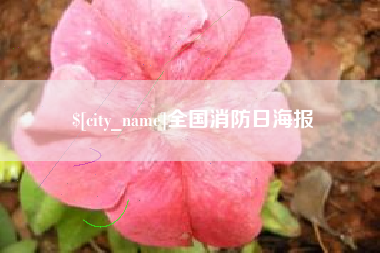 江门全国消防日海报