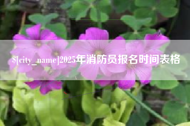 江门2025年消防员报名时间表格
