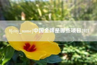 江门中国金牌是哪些项目2021