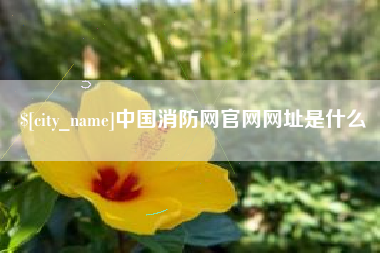 江门中国消防网官网网址是什么