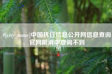 江门中国执行信息公开网信息查询官网限消中查询不到