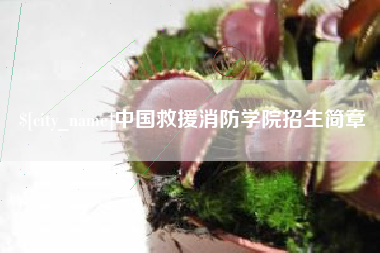 江门中国救援消防学院招生简章