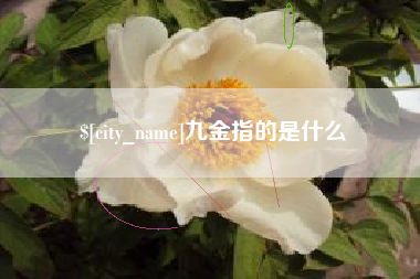 江门九金指的是什么