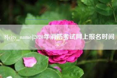 江门2020年消防考试网上报名时间
