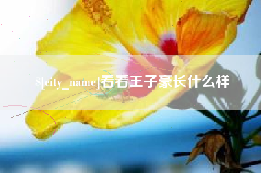 江门看看王子豪长什么样