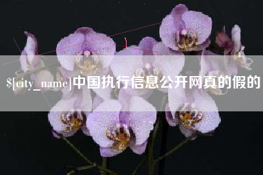 江门中国执行信息公开网真的假的