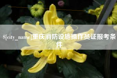 江门重庆消防设施操作员证报考条件