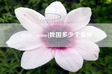 江门我国多少个金牌