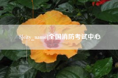 江门全国消防考试中心