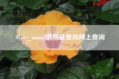江门消防证查询网上查询