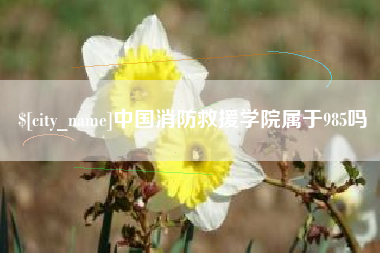 江门中国消防救援学院属于985吗
