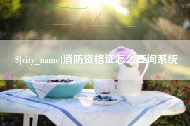 江门消防资格证怎么查询系统