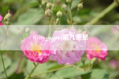 江门第九金是