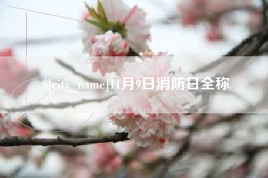 江门11月9日消防日全称