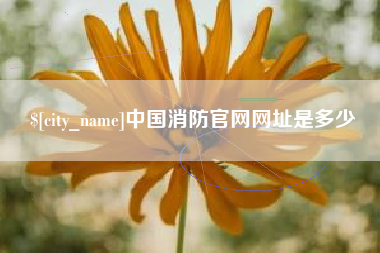 江门中国消防官网网址是多少
