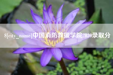江门中国消防救援学院2020录取分
