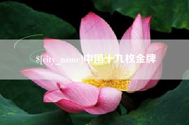 江门中国十九枚金牌