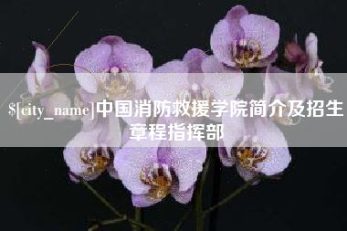 江门中国消防救援学院简介及招生章程指挥部