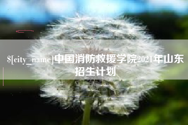 江门中国消防救援学院2021年山东招生计划