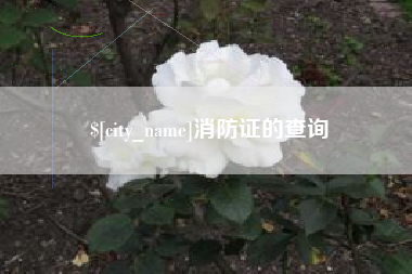 江门消防证的查询