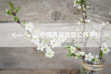 江门中国执行信息公开平台