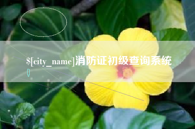 江门消防证初级查询系统