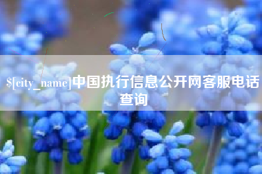 江门中国执行信息公开网客服电话查询